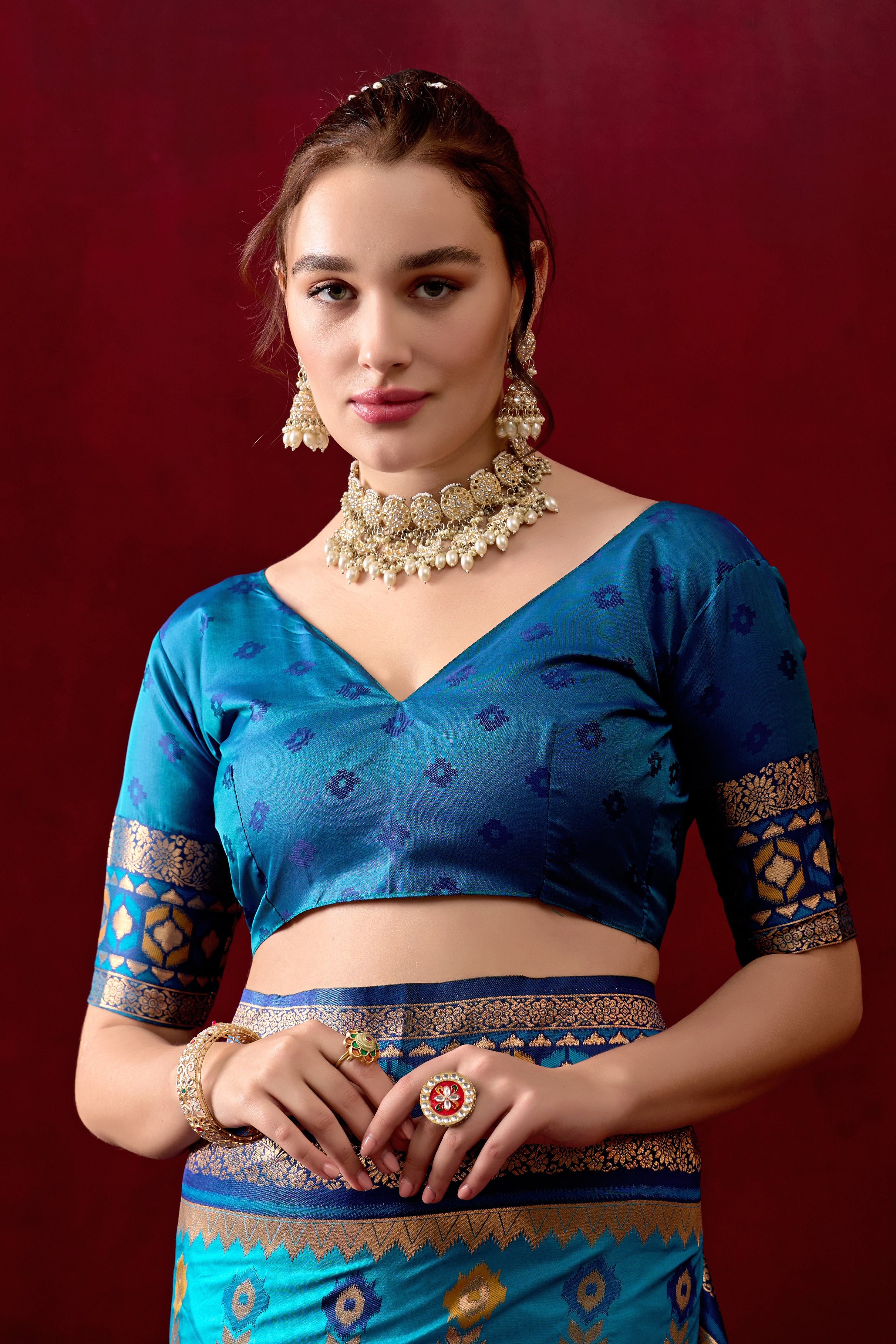 Vasanti Firoji & Navy Blue Contrast Banarasi Silk Saree